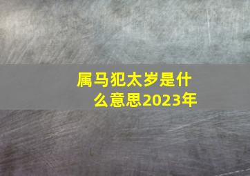 属马犯太岁是什么意思2023年