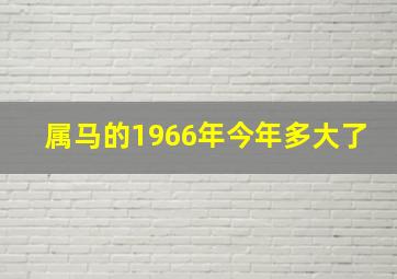 属马的1966年今年多大了