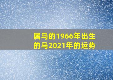 属马的1966年出生的马2021年的运势