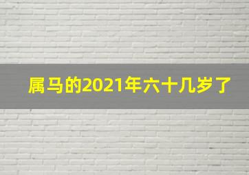 属马的2021年六十几岁了