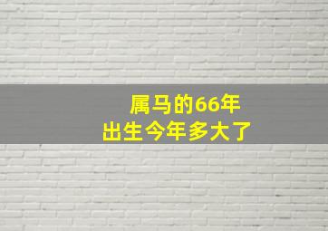 属马的66年出生今年多大了