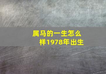 属马的一生怎么样1978年出生