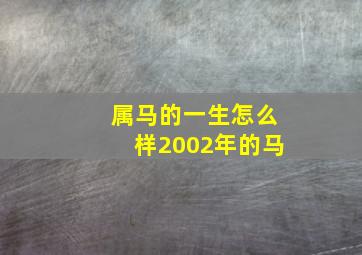 属马的一生怎么样2002年的马