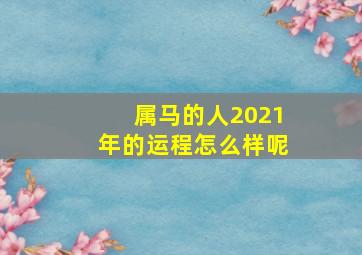 属马的人2021年的运程怎么样呢