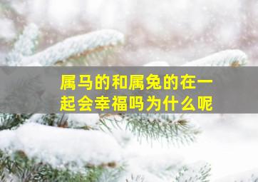 属马的和属兔的在一起会幸福吗为什么呢