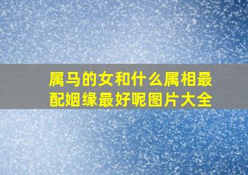 属马的女和什么属相最配姻缘最好呢图片大全