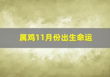 属鸡11月份出生命运