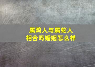 属鸡人与属蛇人相合吗婚姻怎么样