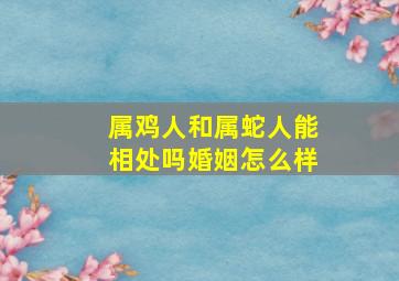 属鸡人和属蛇人能相处吗婚姻怎么样