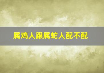 属鸡人跟属蛇人配不配