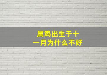 属鸡出生于十一月为什么不好