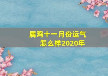 属鸡十一月份运气怎么样2020年