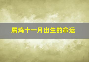 属鸡十一月出生的命运