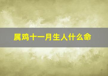 属鸡十一月生人什么命