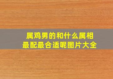 属鸡男的和什么属相最配最合适呢图片大全