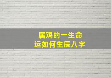 属鸡的一生命运如何生辰八字