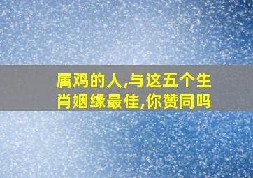 属鸡的人,与这五个生肖姻缘最佳,你赞同吗