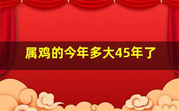 属鸡的今年多大45年了