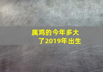 属鸡的今年多大了2019年出生