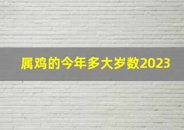 属鸡的今年多大岁数2023