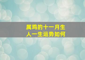 属鸡的十一月生人一生运势如何