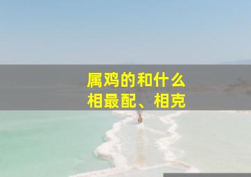 属鸡的和什么相最配、相克