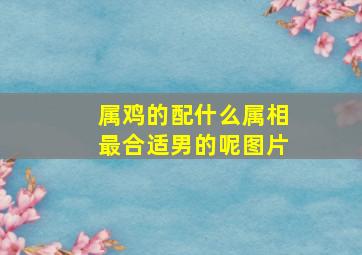 属鸡的配什么属相最合适男的呢图片