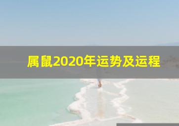 属鼠2020年运势及运程