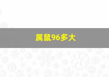 属鼠96多大