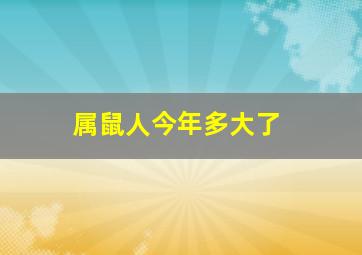 属鼠人今年多大了