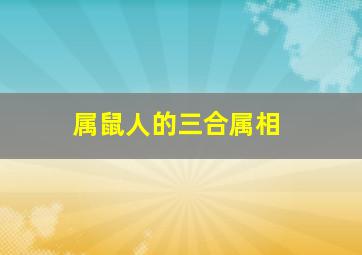 属鼠人的三合属相