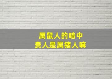 属鼠人的暗中贵人是属猪人嘛