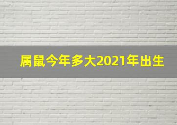 属鼠今年多大2021年出生