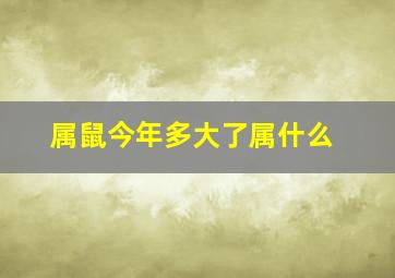 属鼠今年多大了属什么