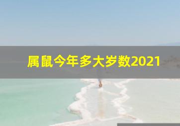 属鼠今年多大岁数2021