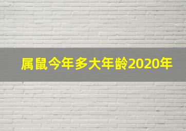 属鼠今年多大年龄2020年