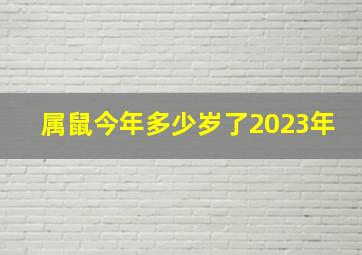 属鼠今年多少岁了2023年