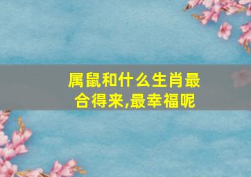 属鼠和什么生肖最合得来,最幸福呢