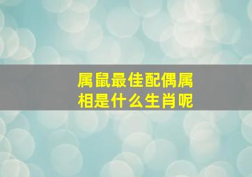 属鼠最佳配偶属相是什么生肖呢