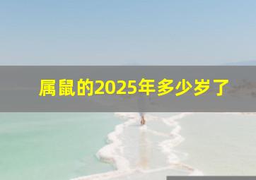 属鼠的2025年多少岁了