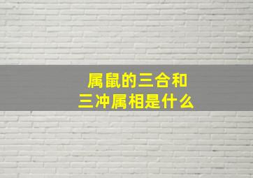 属鼠的三合和三冲属相是什么