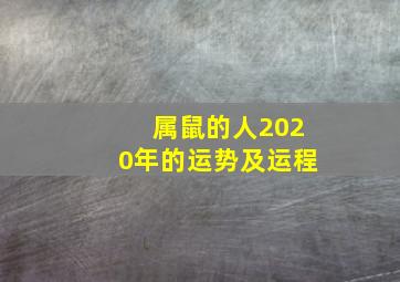 属鼠的人2020年的运势及运程