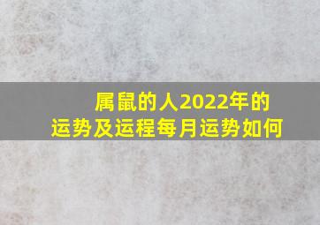 属鼠的人2022年的运势及运程每月运势如何