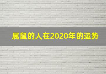 属鼠的人在2020年的运势