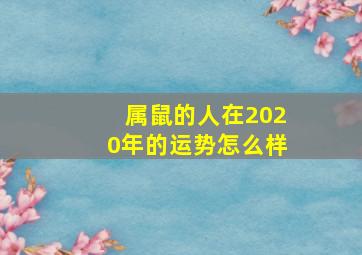 属鼠的人在2020年的运势怎么样