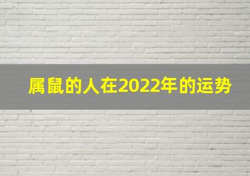 属鼠的人在2022年的运势