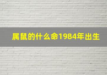 属鼠的什么命1984年出生