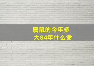 属鼠的今年多大84年什么命