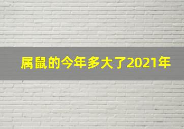 属鼠的今年多大了2021年