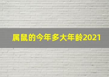 属鼠的今年多大年龄2021